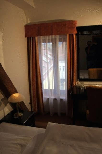 Hotel U Zeleneho Stromu 3*
