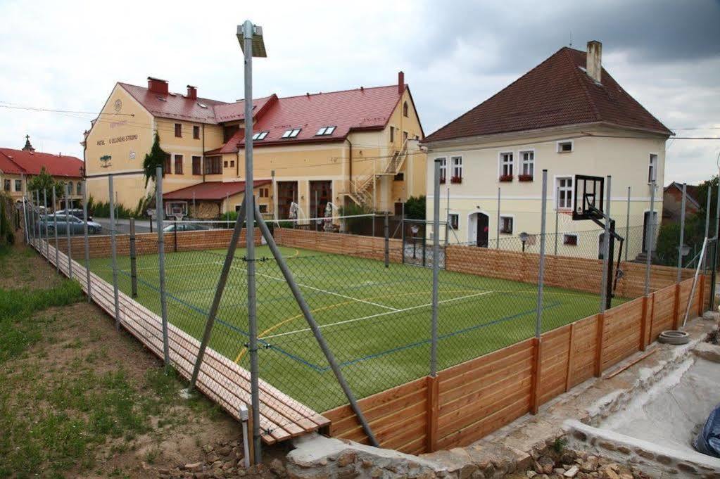 Hotel U Zeleneho Stromu